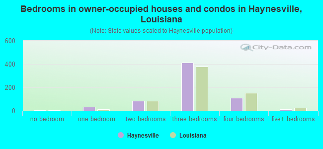 Bedrooms in owner-occupied houses and condos in Haynesville, Louisiana