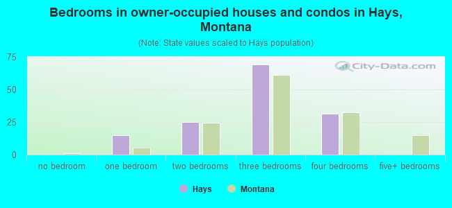 Bedrooms in owner-occupied houses and condos in Hays, Montana