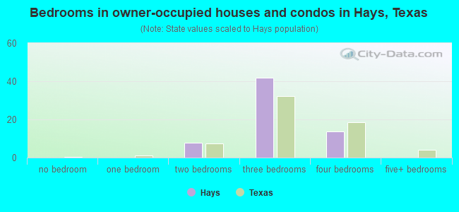 Bedrooms in owner-occupied houses and condos in Hays, Texas