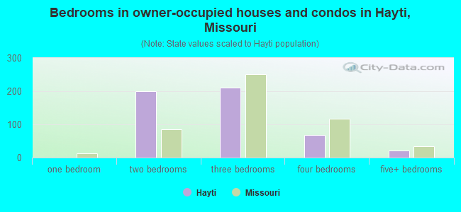 Bedrooms in owner-occupied houses and condos in Hayti, Missouri