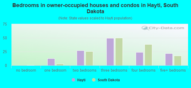 Bedrooms in owner-occupied houses and condos in Hayti, South Dakota