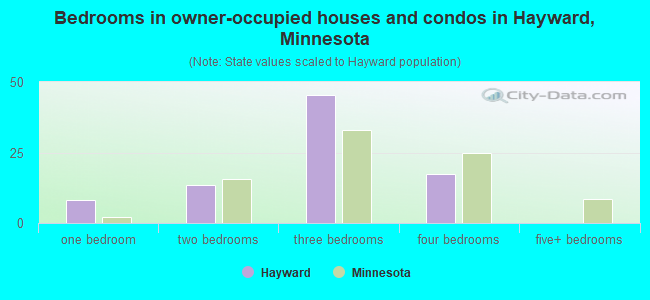 Bedrooms in owner-occupied houses and condos in Hayward, Minnesota