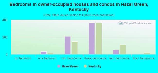 Bedrooms in owner-occupied houses and condos in Hazel Green, Kentucky