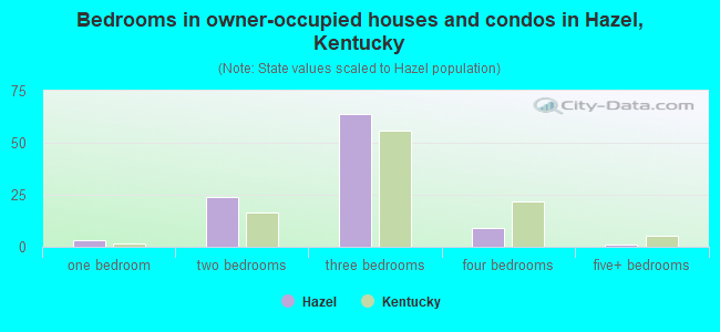 Bedrooms in owner-occupied houses and condos in Hazel, Kentucky