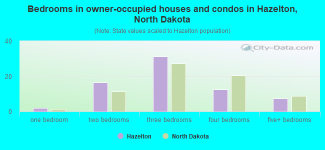 Bedrooms in owner-occupied houses and condos in Hazelton, North Dakota