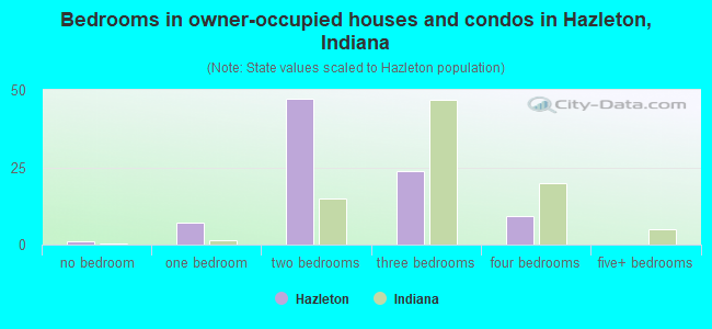 Bedrooms in owner-occupied houses and condos in Hazleton, Indiana