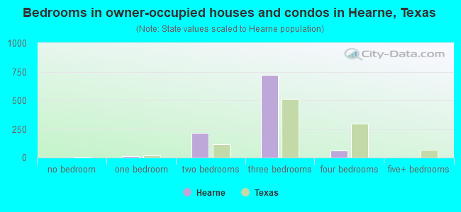 Bedrooms in owner-occupied houses and condos in Hearne, Texas