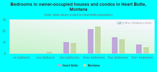 Bedrooms in owner-occupied houses and condos in Heart Butte, Montana