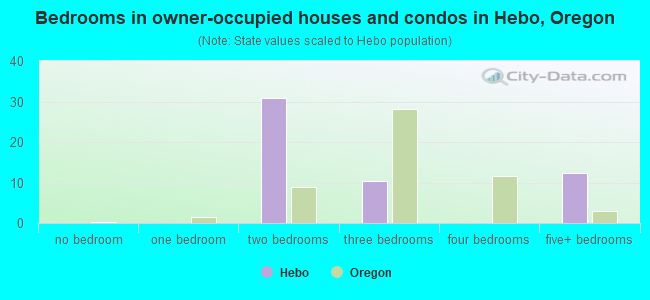 Bedrooms in owner-occupied houses and condos in Hebo, Oregon