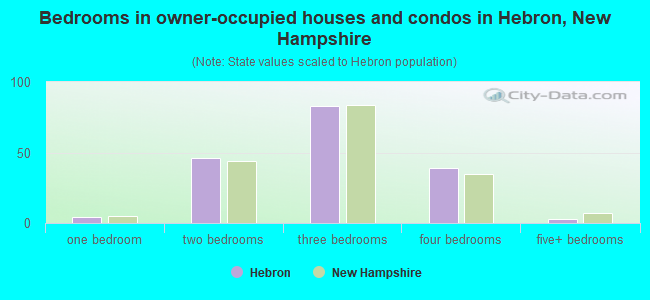 Bedrooms in owner-occupied houses and condos in Hebron, New Hampshire