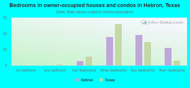 Bedrooms in owner-occupied houses and condos in Hebron, Texas