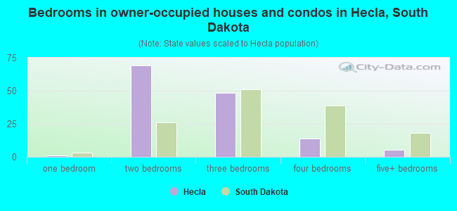 Bedrooms in owner-occupied houses and condos in Hecla, South Dakota