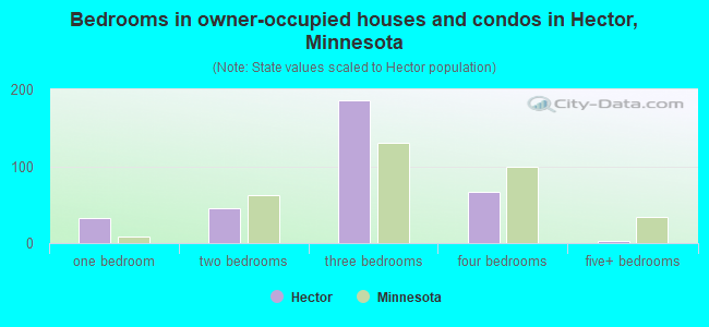 Bedrooms in owner-occupied houses and condos in Hector, Minnesota