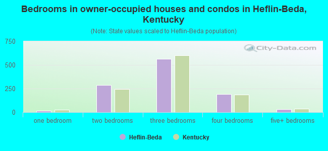 Bedrooms in owner-occupied houses and condos in Heflin-Beda, Kentucky