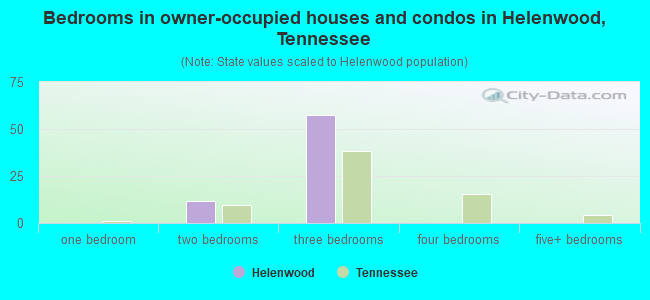 Bedrooms in owner-occupied houses and condos in Helenwood, Tennessee