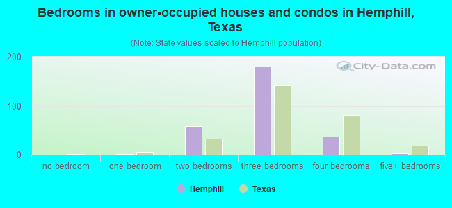 Bedrooms in owner-occupied houses and condos in Hemphill, Texas