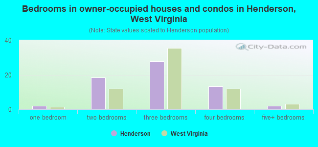 Bedrooms in owner-occupied houses and condos in Henderson, West Virginia