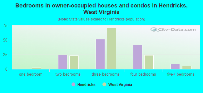 Bedrooms in owner-occupied houses and condos in Hendricks, West Virginia