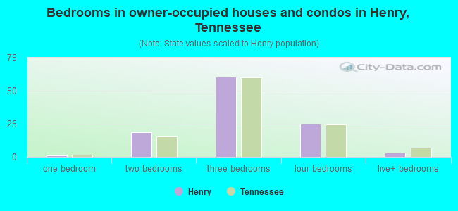 Bedrooms in owner-occupied houses and condos in Henry, Tennessee