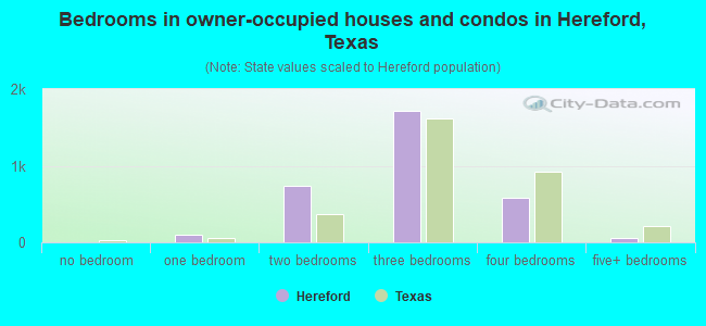 Bedrooms in owner-occupied houses and condos in Hereford, Texas