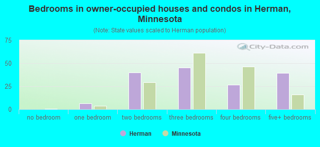 Bedrooms in owner-occupied houses and condos in Herman, Minnesota