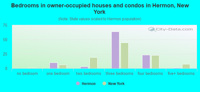 Bedrooms in owner-occupied houses and condos in Hermon, New York