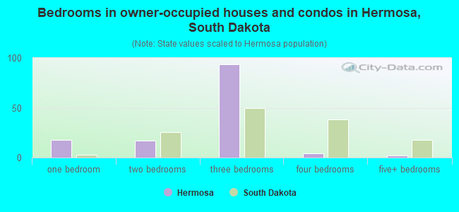 Bedrooms in owner-occupied houses and condos in Hermosa, South Dakota