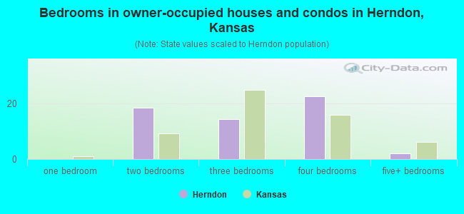 Bedrooms in owner-occupied houses and condos in Herndon, Kansas