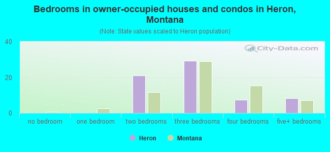 Bedrooms in owner-occupied houses and condos in Heron, Montana