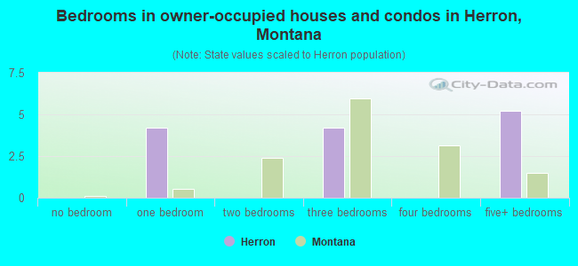 Bedrooms in owner-occupied houses and condos in Herron, Montana