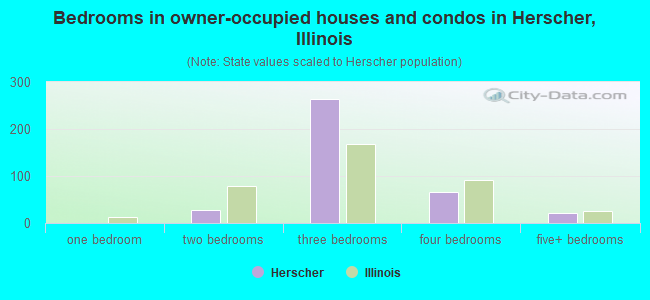 Bedrooms in owner-occupied houses and condos in Herscher, Illinois
