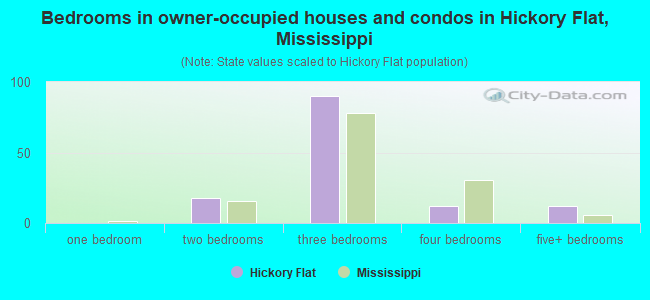 Bedrooms in owner-occupied houses and condos in Hickory Flat, Mississippi