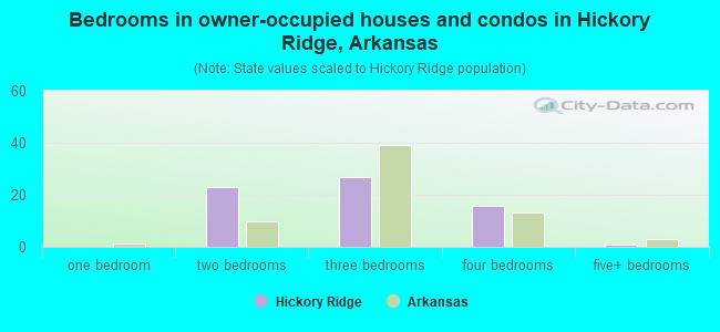 Bedrooms in owner-occupied houses and condos in Hickory Ridge, Arkansas