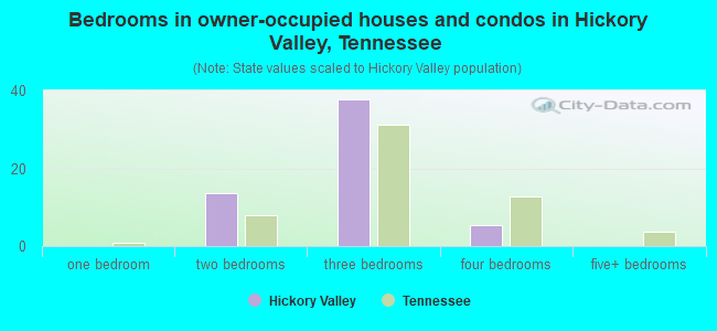 Bedrooms in owner-occupied houses and condos in Hickory Valley, Tennessee