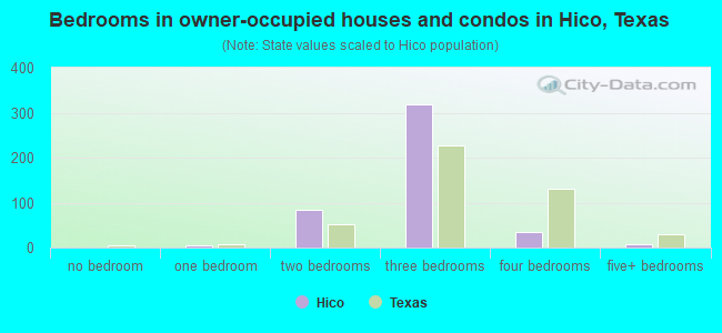 Bedrooms in owner-occupied houses and condos in Hico, Texas