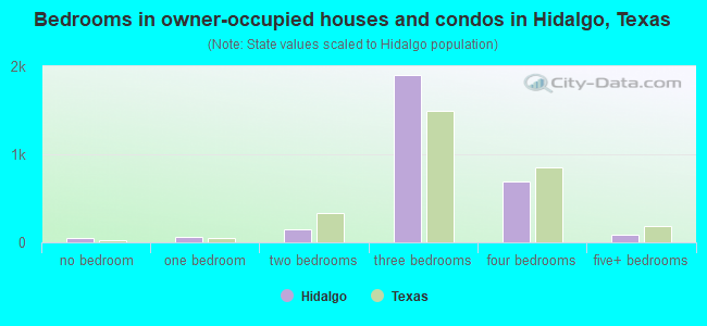 Bedrooms in owner-occupied houses and condos in Hidalgo, Texas