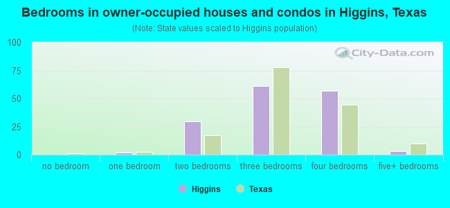 Bedrooms in owner-occupied houses and condos in Higgins, Texas