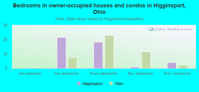 Bedrooms in owner-occupied houses and condos in Higginsport, Ohio