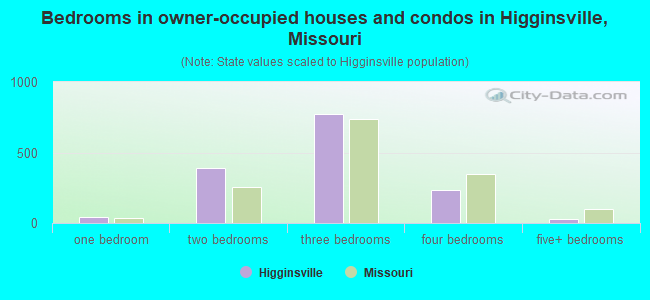 Bedrooms in owner-occupied houses and condos in Higginsville, Missouri
