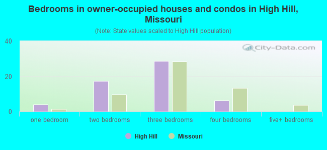 Bedrooms in owner-occupied houses and condos in High Hill, Missouri
