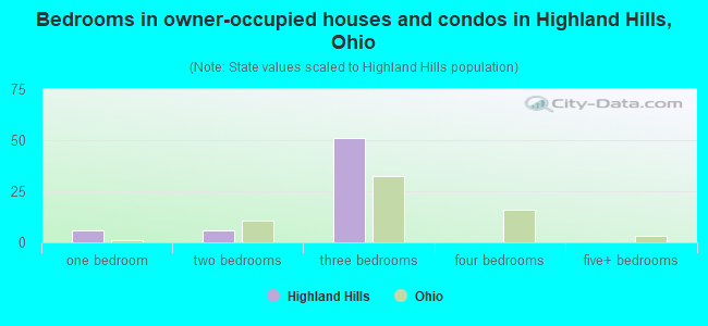 Bedrooms in owner-occupied houses and condos in Highland Hills, Ohio