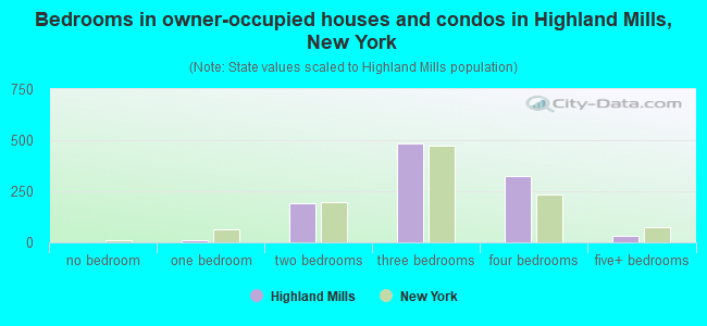 Bedrooms in owner-occupied houses and condos in Highland Mills, New York