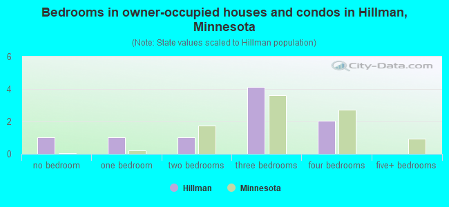 Bedrooms in owner-occupied houses and condos in Hillman, Minnesota