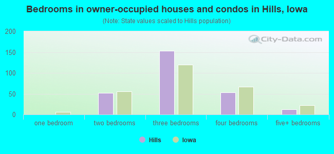 Bedrooms in owner-occupied houses and condos in Hills, Iowa