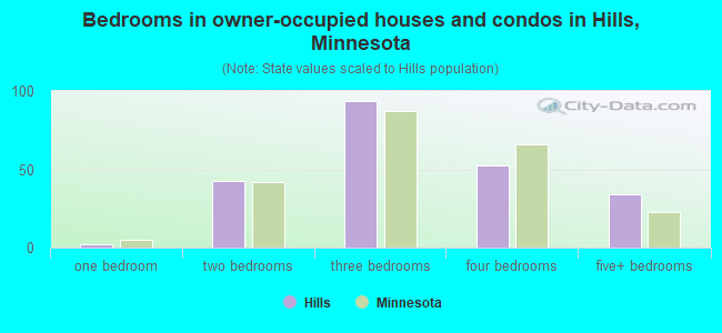 Bedrooms in owner-occupied houses and condos in Hills, Minnesota