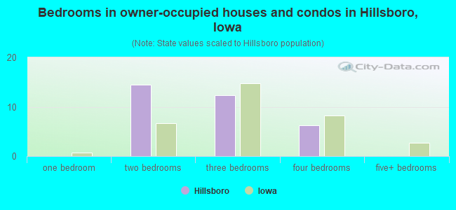 Bedrooms in owner-occupied houses and condos in Hillsboro, Iowa