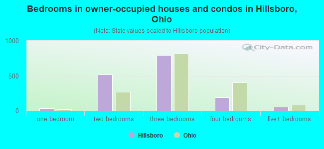 Bedrooms in owner-occupied houses and condos in Hillsboro, Ohio
