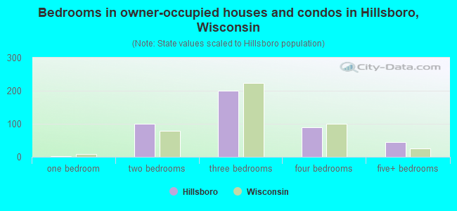 Bedrooms in owner-occupied houses and condos in Hillsboro, Wisconsin
