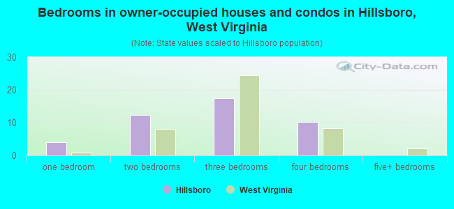 Bedrooms in owner-occupied houses and condos in Hillsboro, West Virginia