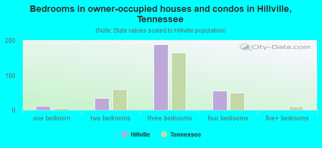 Bedrooms in owner-occupied houses and condos in Hillville, Tennessee